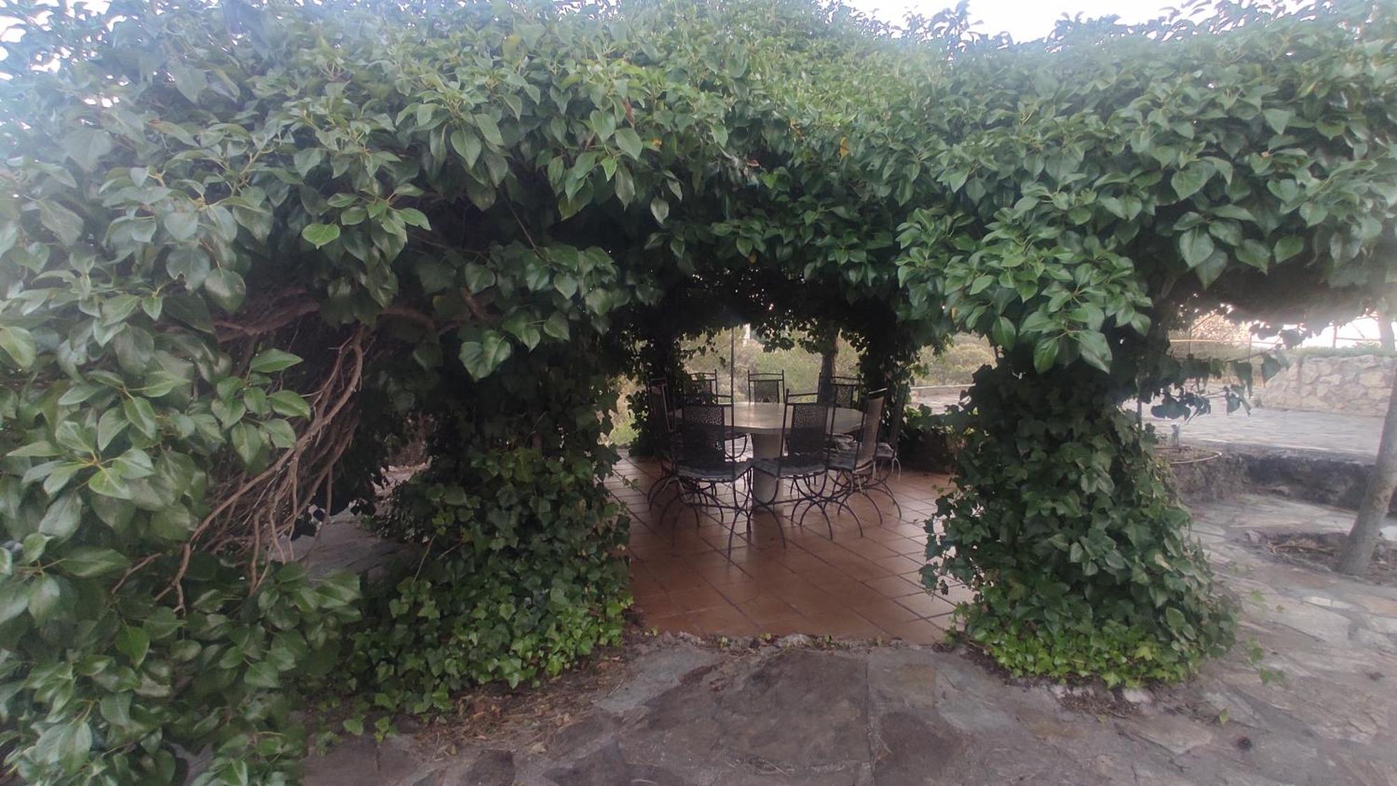 Increible Casa Rural En La Sierra De Altomira Albalate De Zorita Exterior foto